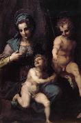 Andrea del Sarto The Virgin and Child with St. John childhood oil painting on canvas